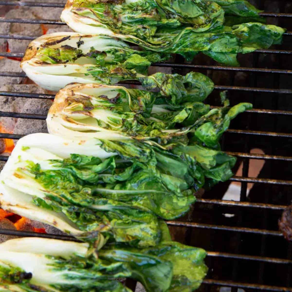baby bok choi charring on a grill.