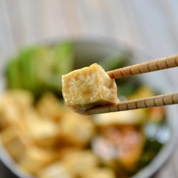 extreme texture of tofu browned being held by chopsticks.