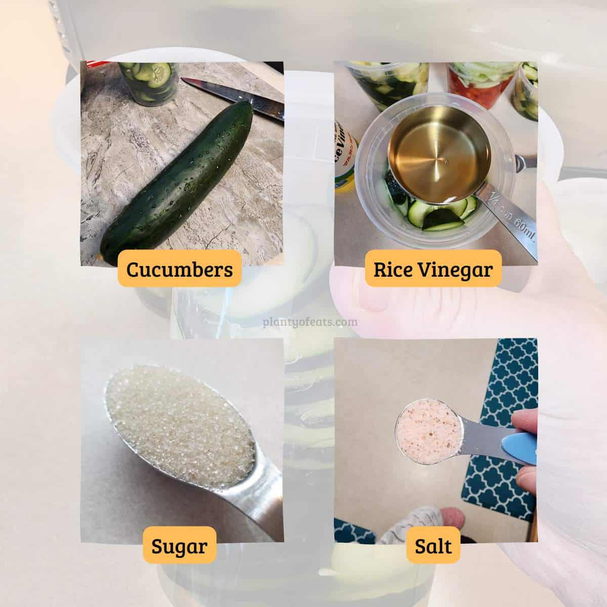 ingredients for pickled cucumbers, with text labels.